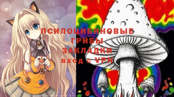 мдма Киреевск