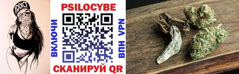 Купить где  Мегион  Галлюциногенные грибы GOLDEN TEACHER 